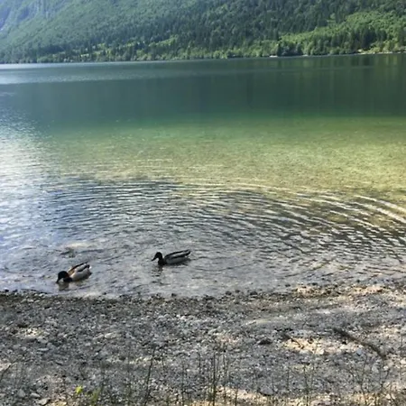 Apartman Luxury Near