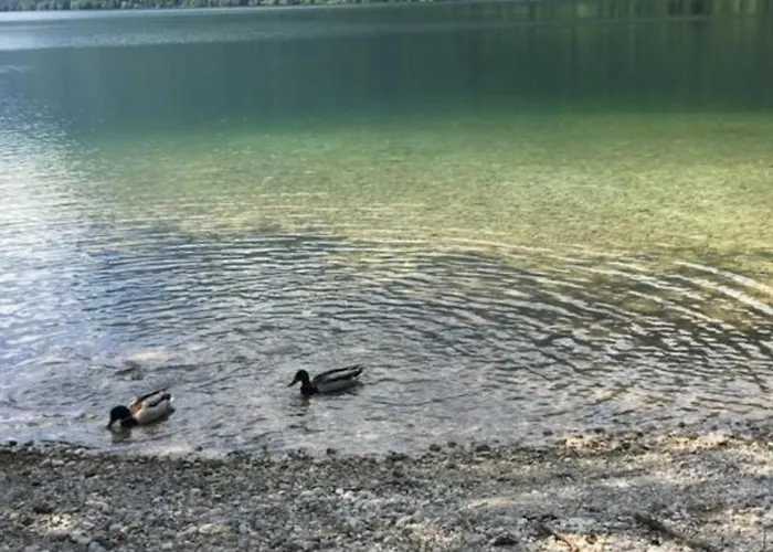 Apartamento Luxury Near